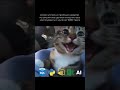 Переходите по ссылке на видео по теме 💜