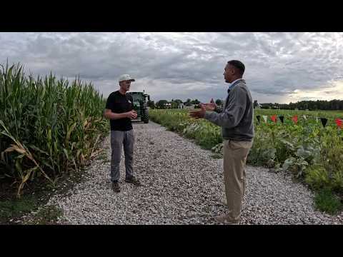 Wisconsin diesel prices hit record $6.12 a gallon as harvest season arrives for farmers