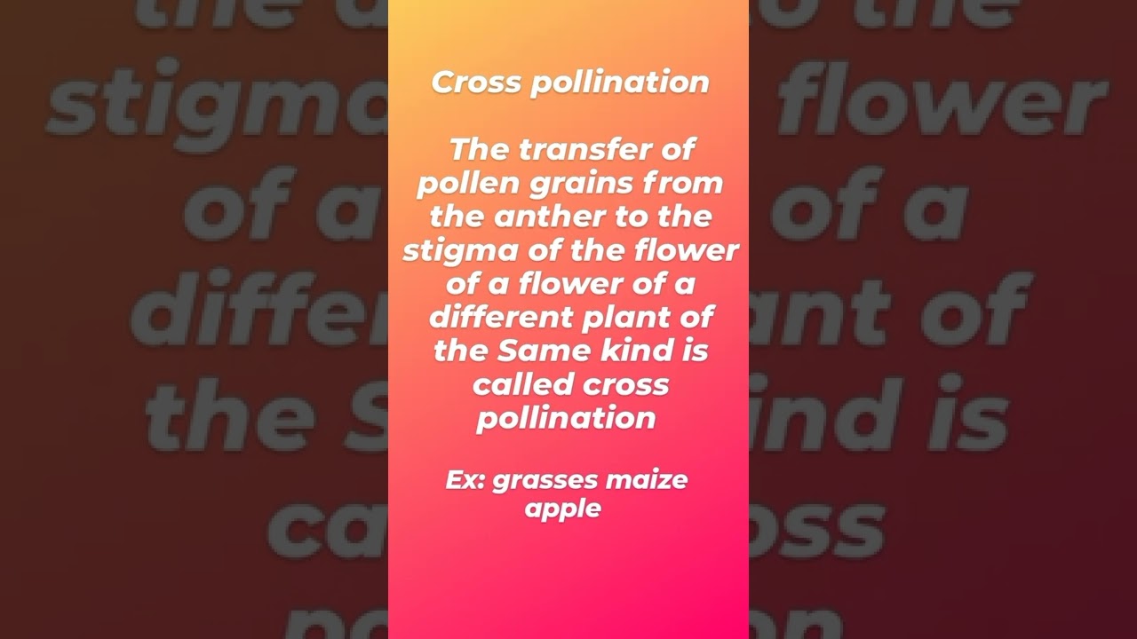 cross pollination most important 