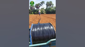 🔥Low cost drip irrigation!👌🏻installation!🌱 #farming #dripirrigation #ideas