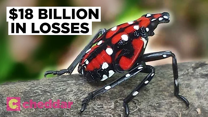 The Worst Invasive Species The U.S. Has Seen in 150 Years