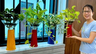 видео: Уникальные настольные водные растения, которые подчеркнут ваше жизненное пространство картинка: Уникальные настольные водные растения, которые подчеркнут ваше жизненное пространство