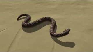 Sidewinding