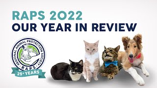 RAPS 2022 Our Year In Review by Regional Animal Protection Society 228 views 1 year ago 11 minutes, 43 seconds