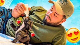 Meu Namorado Deu Mamadeira Para Os Filhotes