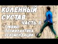 04. КОЛЕННЫЙ СУСТАВ. Травмы, реабилитация и профилактика.