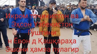 ( КУРАШ  ) Гуштин дар н Ёвон д Қашқараҳа