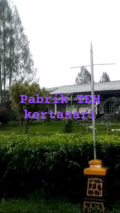 Pabrik Teh Kertasari & Ceriranya
