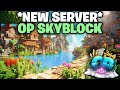 NEW OP SKYBLOCK SERVER in Minecraft Skyblock! 1.21+ (BEDROCK/JAVA) | 2024