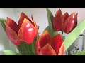 RECICLAGEM |  TULIPA COM GARRAFA PET