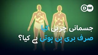 کیا جسمانی چربی واقعی نقصان دہ ہے؟ | DW Urdu |