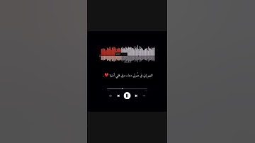 القارئ عبدالرحمن مسعد من سورة ابراهيم #قران_كريم #عبدالرحمن_مسعد #اكتب_شي_تؤجر_عليه