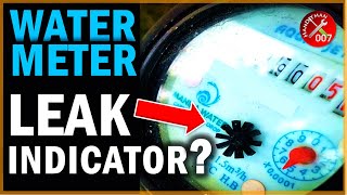 Why is My Water Bill So High? How to Read Leak Indicator on Water Meter screenshot 5