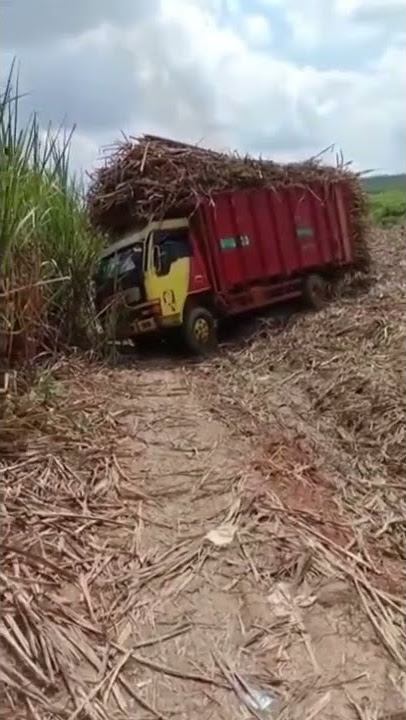 story wa skill sopir truk tebu #shorts #story #truk #trukcanter