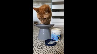 Download Lagu Beans Fine Dining 🇫🇷 | Glandex Prebiotic \u0026 Probiotic MP3