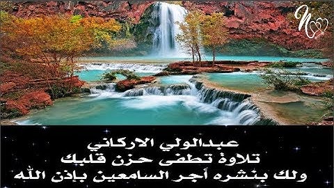 تلاوة تطفئ حزن القلب - عبد الولي الأركاني ( تسجيل عالي الدقة )