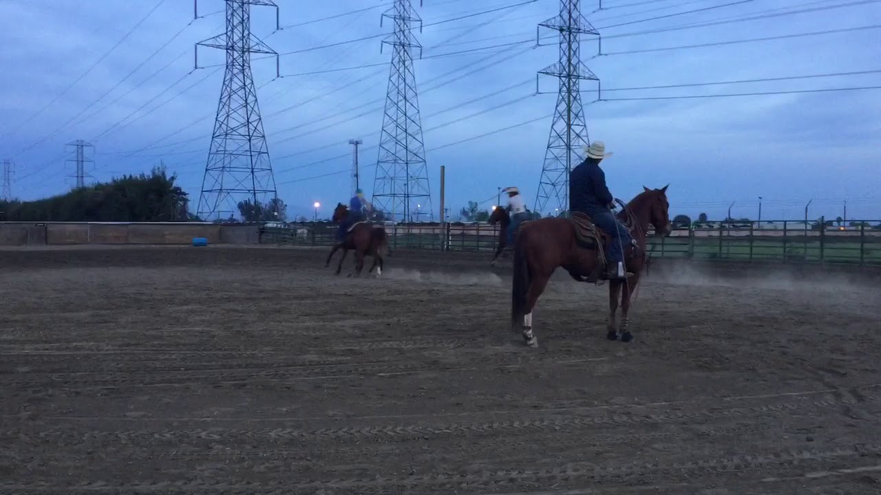 team roping heading - YouTube