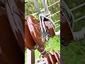 jumper out of control 🛂 #shortvideo #youtubeshort #solarnews #shortfeed #shorts #solarlife #electric