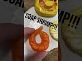 Using a real shrimp to make soap?? #soap  #soapmaking #coldprocesssoap #shrimp #skincare