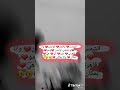 هاد الشي بيوصفني انا ونونة