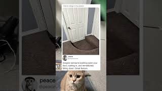 This Interior Design Choice Is Absurd