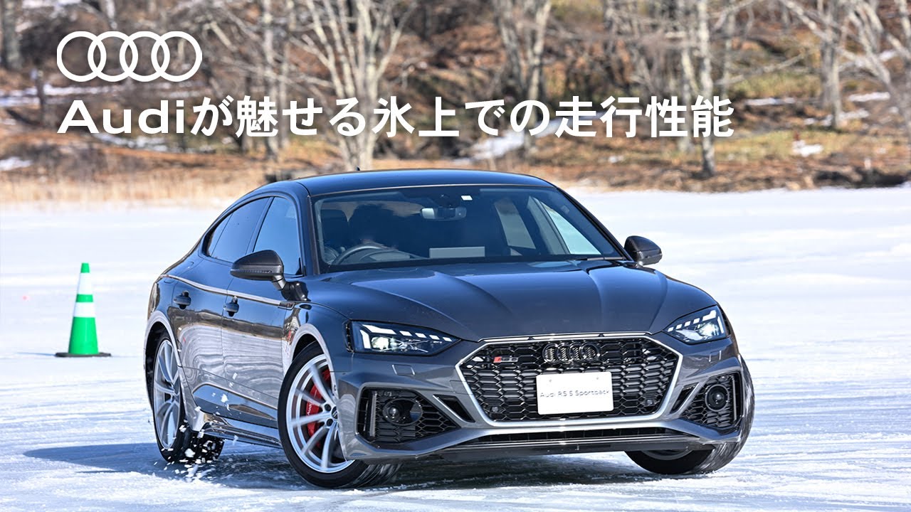 Ppp★IDEAL 車高調★アウディ a5用★SKID RACING Ppp☆IDEAL 車高調☆アウディ a5用☆SKID RACING Ppp☆IDEAL 車高調