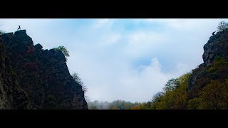 URAVI   2019