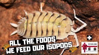 All the Foods We Feed Our Isopods | Plus 1 new Isopod Food