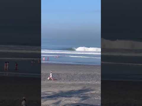 Bali Beachie on