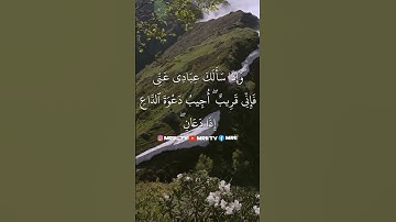 ماهر المعيقلي - سورة البقرة ( برواية حفص عن عاصم ) الأية 186