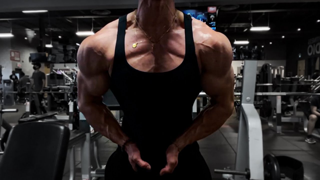 AESTHETICS 101