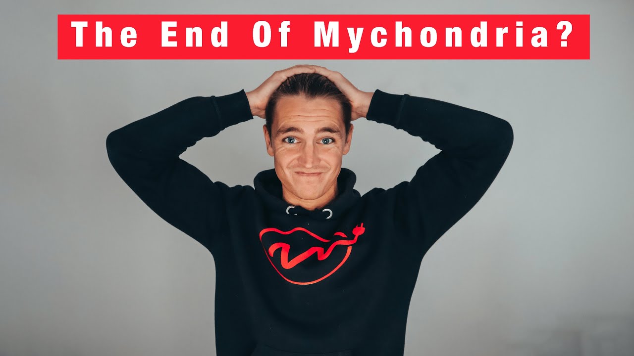 Red Light Therapy vs. Sunlight (You Decide) YouTube