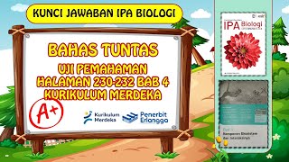 KUNCI JAWABAN IPA BIOLOGI KELAS 10 BAB 4 UJI PEMAHAMAN HALAMAN 230-232 KURIKULUM MERDEKA