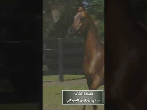 قصيدة مهداة لـ خلف الويباري الشمري - الشاعر : مرعي بن دايس السرحاني