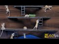 Cat tv games for cats to watch cute mice hide  seek and play on screen 4k u8 hours