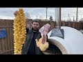 Лучший рецепт мясо и макарон❗️Фарш как золото❗️Ленивые пельмени❗️