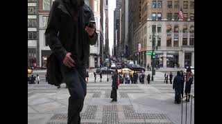 New York City Public Library REVERSE 20170202