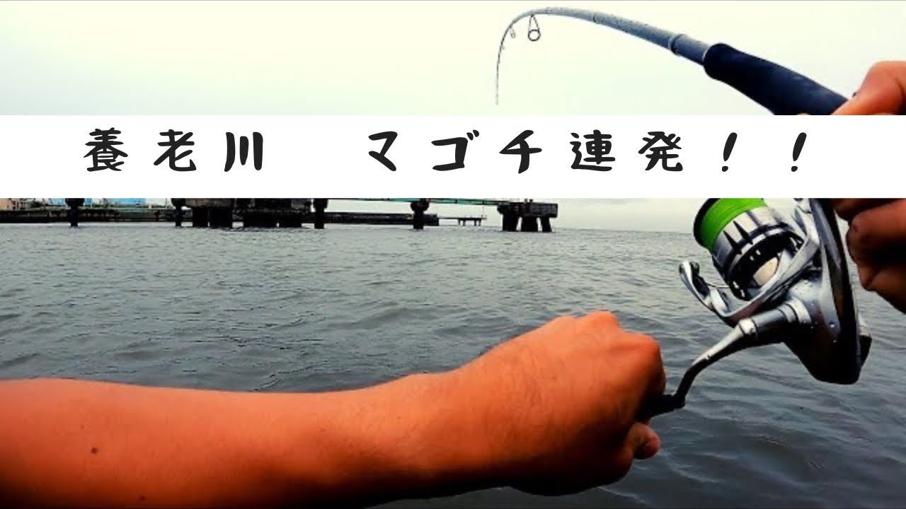 【養老川マゴチ釣り】シーバスの釣れない海でVJを投げると、、、