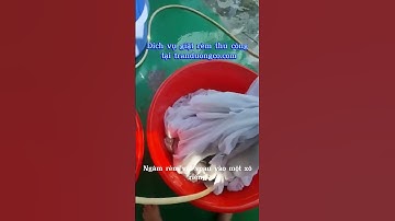 Dịch vụ giặt rèm cửa của Công Ty Trần Dương