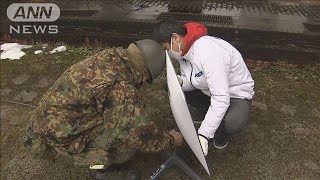 被災地の携帯エリア9割復旧　通信確保の新たな試み(2024年2月1日)