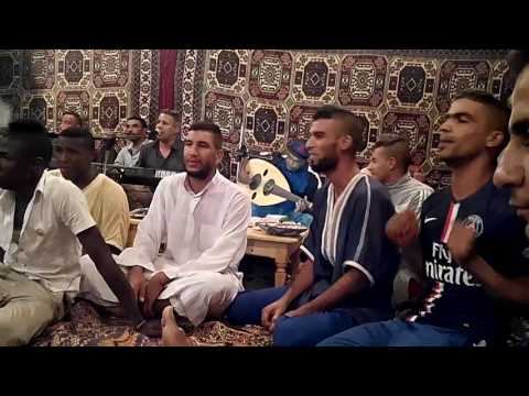 بلبل ضاية بن ضحوة لخضر بن هنية