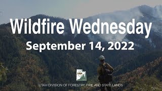 Wildfire Wednesday, September 14, 2022