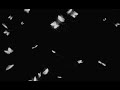 White Butterfly Fly In Black Screen Green Screen Butterfly Blending Effect Videos 