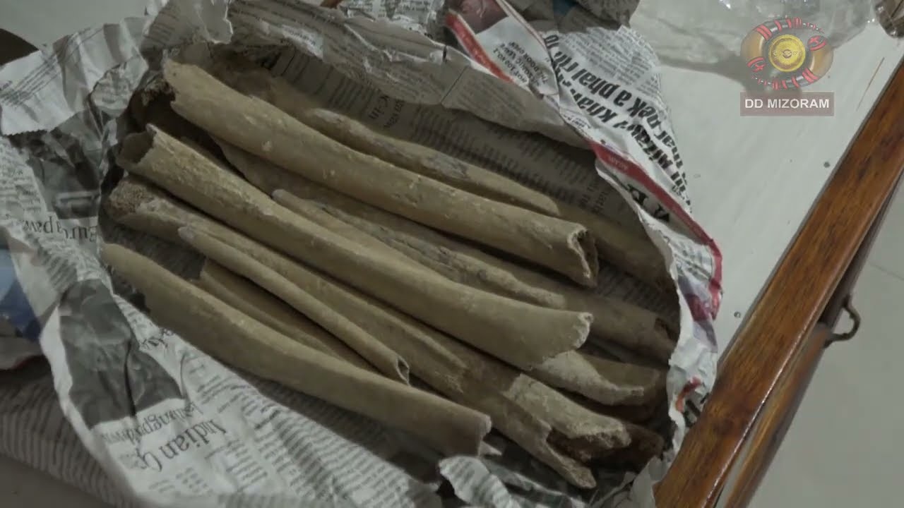 Pipute thil hlui humhaltu | LALTHUAMA SAILO