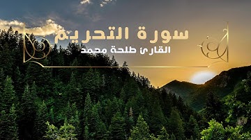 سورة التحريم كاملة - للقارئ طلحة محمد عمر | Dalha Mohamed Surah At-Tahrim