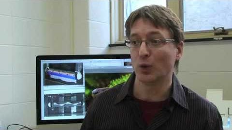 Robotic ghost knifefish is born