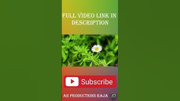 How to Multiply Numbers in Excel (Basic way)|AR PRODUCTIONS RAJA