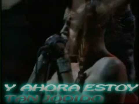 Red Hot Chili Peppers I Could Have Lied Subtitulado Español