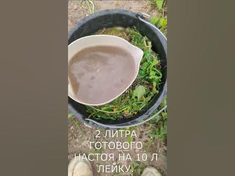 Бесплатное взрывное удобрение для роста всех овощей! - YouTube