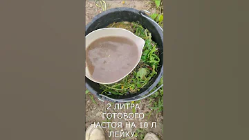 Бесплатное взрывное удобрение для роста всех овощей!